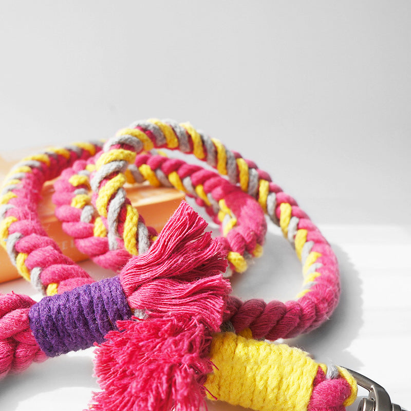 Loofie Multicolored Dog Leash featuring elegant hardware and matching charm