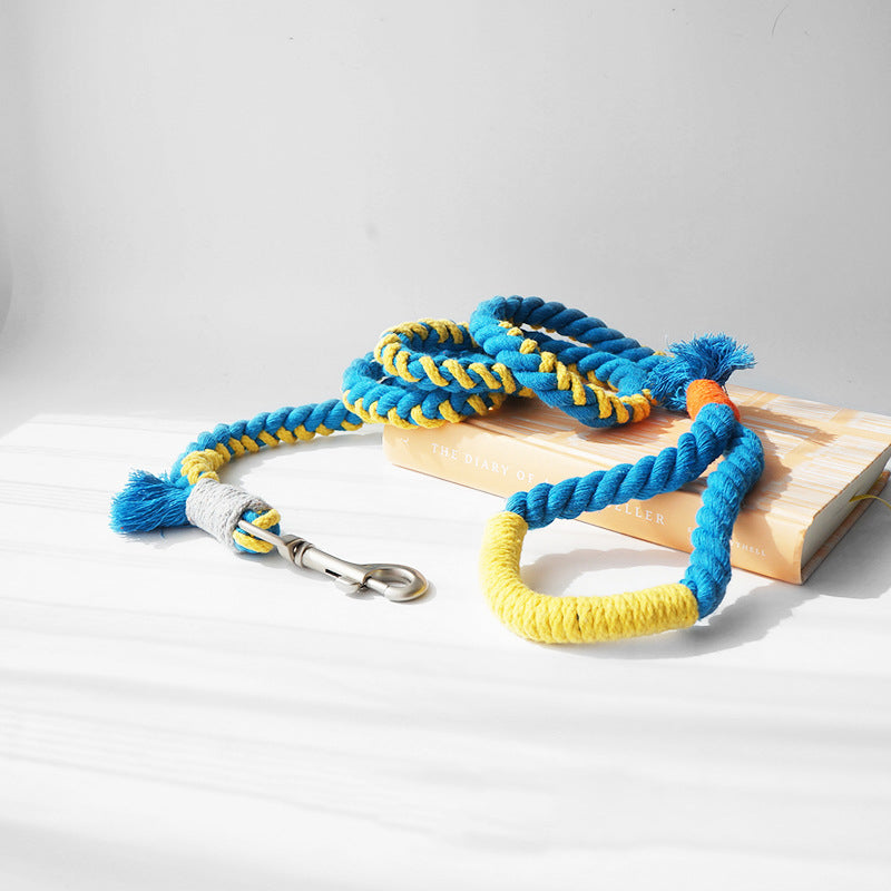 Loofie Colorful Dog Leash with chic hardware and vibrant colors