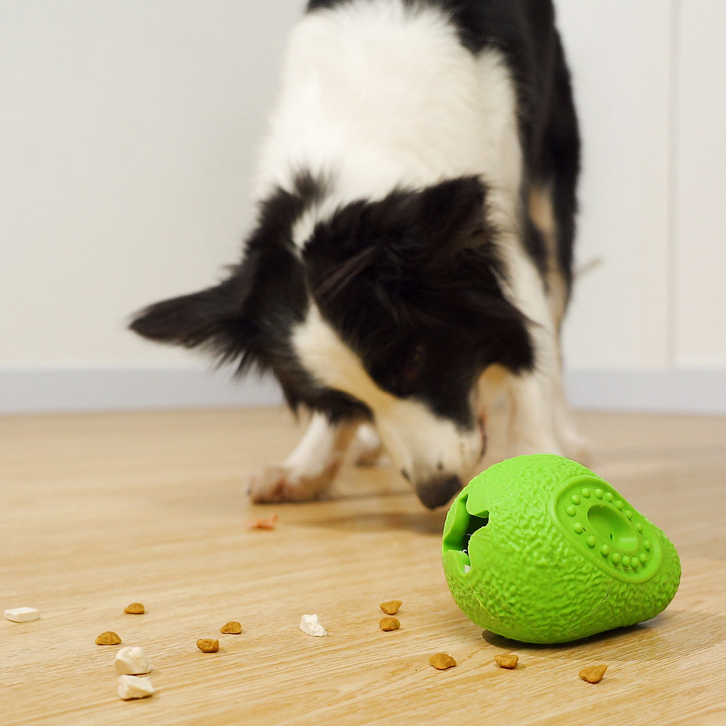 Chewia Avocado Dog Treat-dispensing Toy - Keep Your Pet Active and Healthy